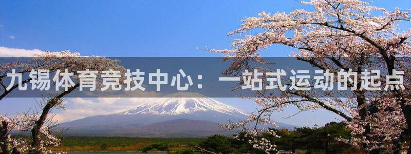 球客岛