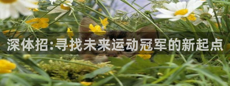 球客岛