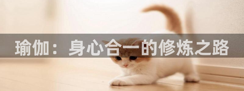 球客岛