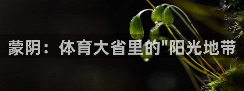 球客岛