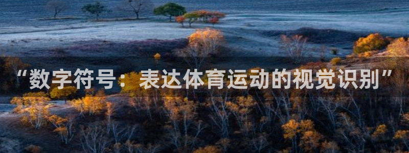 球客岛