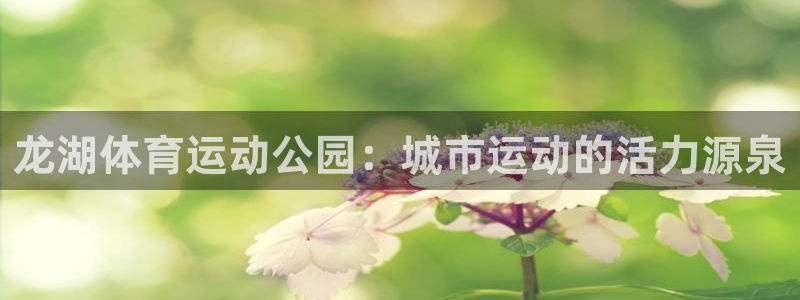球客岛