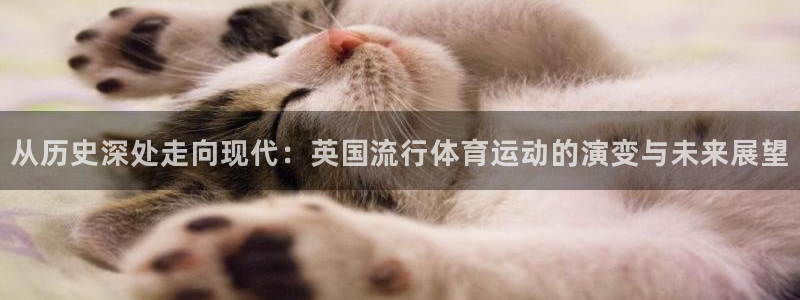 球客岛