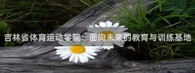 球客岛