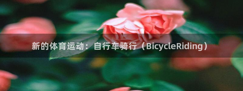球客岛